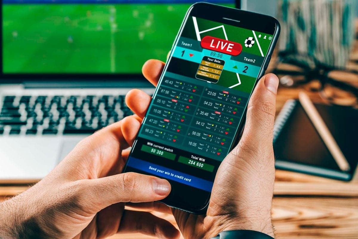 Top Insights on Canada Sports Betting for 2025