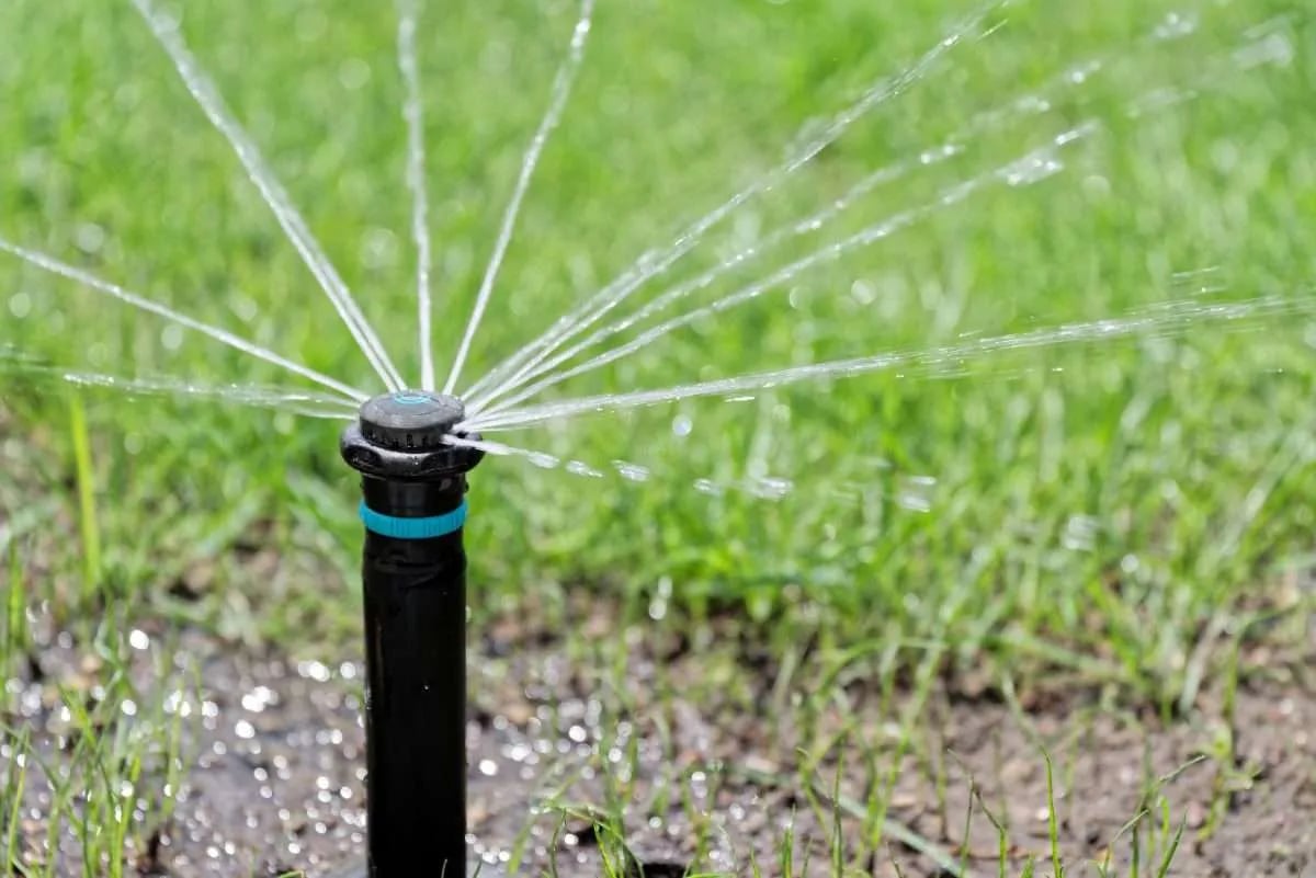 Expert Drainage Services in Springtown , TX by Local Irrigation Experts