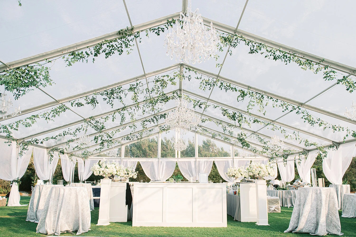 Reliable Party Rentals for Indoor and Outdoor Celebrations