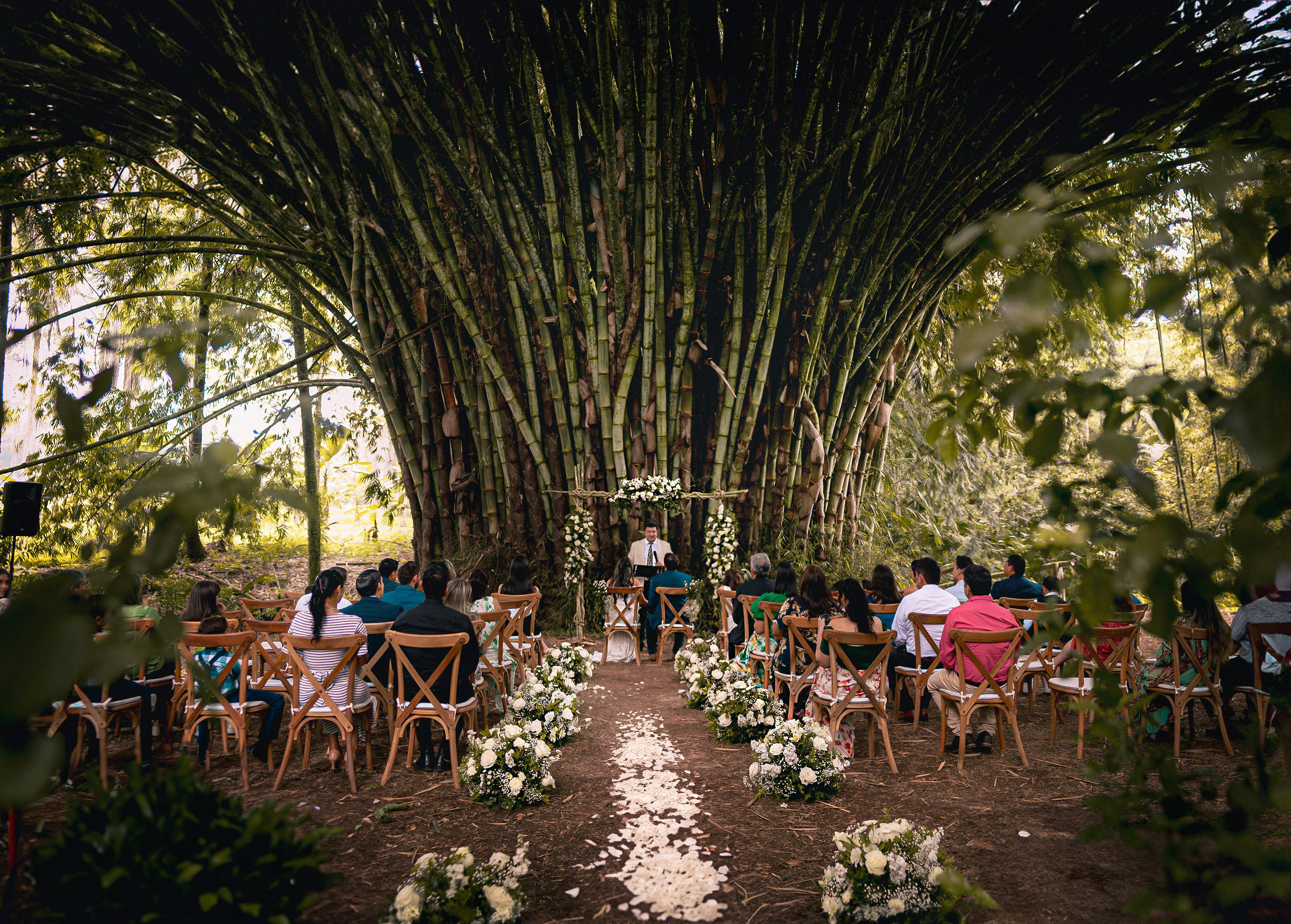 Discover Elegant Clarksburg Wedding Venues by the Delta